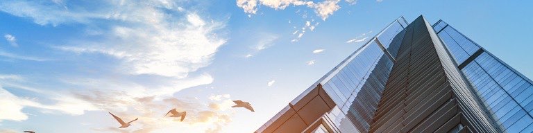 公司形象展示